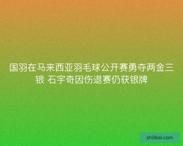 国羽在马来西亚羽毛球公开赛勇夺两金三银 石宇奇因伤退赛仍获银牌